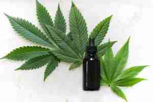 Read more about the article What is CBD (Cannabidiol)?