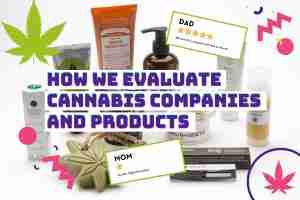 Read more about the article How We Evaluate Cannabis Companies & Products