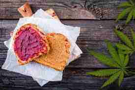 Read more about the article Quick and Easy Infused Cannabis Honey on Toast with Peanut Butter