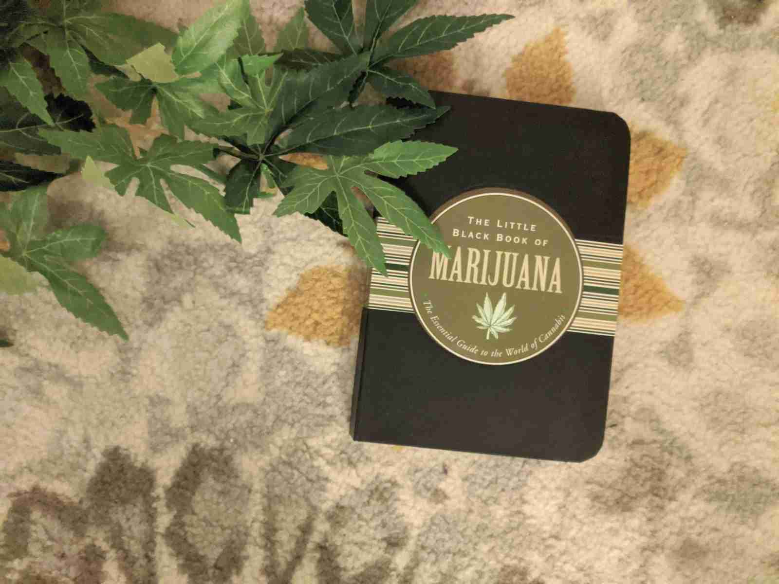 Little Black Book of Cannabis