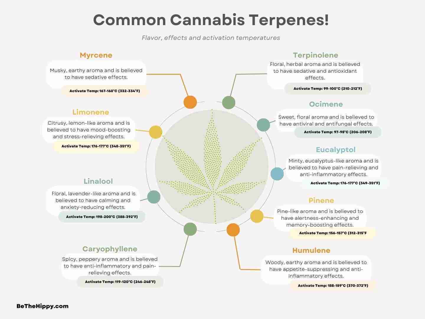 Cannabis terpenes flavors and effects on body