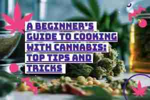 Read more about the article A Beginner’s Guide to Cooking with Cannabis: Top Tips and Tricks