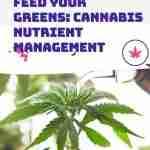Feed Your Greens Cannabis Nutrient Management
