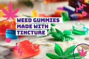 Read more about the article Weed Gummies Made with Tincture – Your Discreet and Delicious Way to Elevate