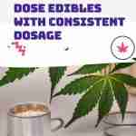 Mastering Low Dose Edibles with Consistent Dosage Pin