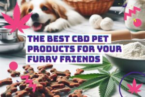 Read more about the article The Best 7 CBD Pet Products for Your Furry Friends: A Guide to Tasty, Safe, and Beneficial Options