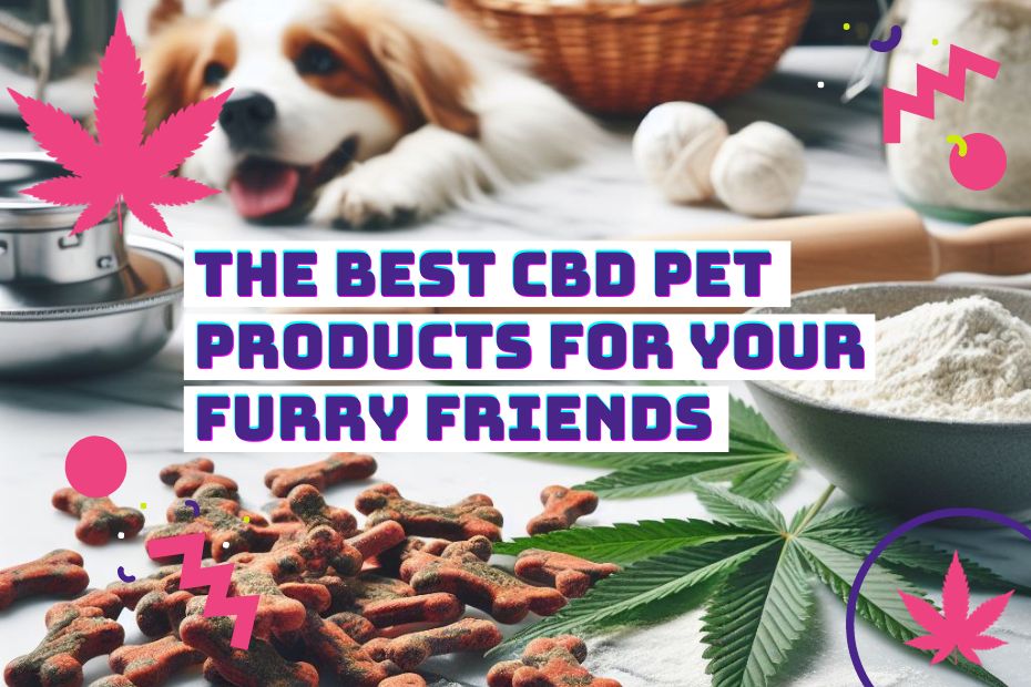 Read more about the article The Best 7 CBD Pet Products for Your Furry Friends: A Guide to Tasty, Safe, and Beneficial Options