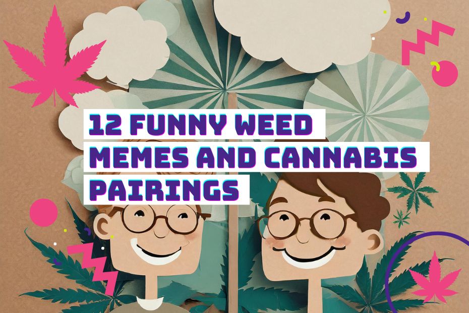 Read more about the article 12 Funny Weed Memes